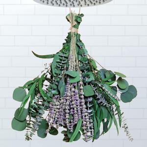 26 PCS Mix Dried Eucalyptus & Lavender Flowers Bundles for Shower, 17'' Natural Real Hanging Silver Dollar Eucalyptus Leaves Stem, Fresh Shower Plants, Fragrance, Wedding Decor (26 pcs)