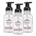 J.R. Watkins Foaming Hand Soap with Pump Dispenser, Moisturizing Foam Hand Wash, Alcohol-Free, Cruelty-Free, eau de rose, 9 fl oz, 3 Pack