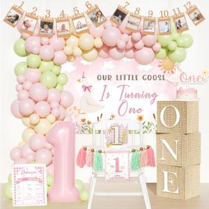One Silly Goose Birthday Decor Girl  108 PCs Silly Goose Birthday Party Supplies with Banner, Balloon Garland Set, Cake Topper, Backdrop, Number 1 Foil Balloon, Boxes, Poster, Crown