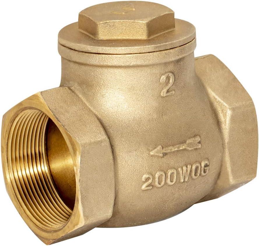 Eastman Brass Swing Check Valve, 2 Inch IPS, Brass Plumbing Fitting, 20431LF