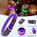 Flashseen LED Dog Collar, Light Up Dog Collar USB Rechargeable, Brightest Dog Lights for Night Walking, Adjustable Dog Collar Light for Dog Safety (Purple, Small)