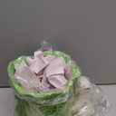 Raz Imports 2024 The Carrot Patch 9" Green Cabbage Container with Bunny