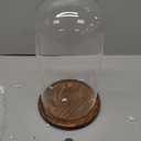 Farmlyn Creek Glass Dome Cloche Display Case - 5.1 x 5.1 x 10 in, Clear Dome & Wood Base - Cloche & Glass Cover - Succulent & Collectible Display