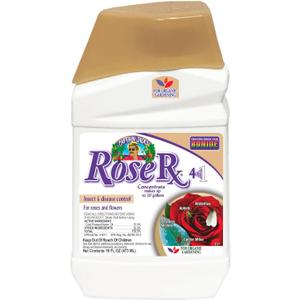 Bonide Captain Jack's Rose Rx 4-in-1 Insect & Disease Control, 16 oz Concentrate Neem Oil for Organic Gardening