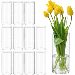 12 Pack Glass Cylinder Vases 8 Inch Tall Clear Flower Bulk Vase for Centerpieces Hurricane Floating Candle Holder for Table Home Home Decor Floral Shelf Party Dining Wedding Holiday Decoration