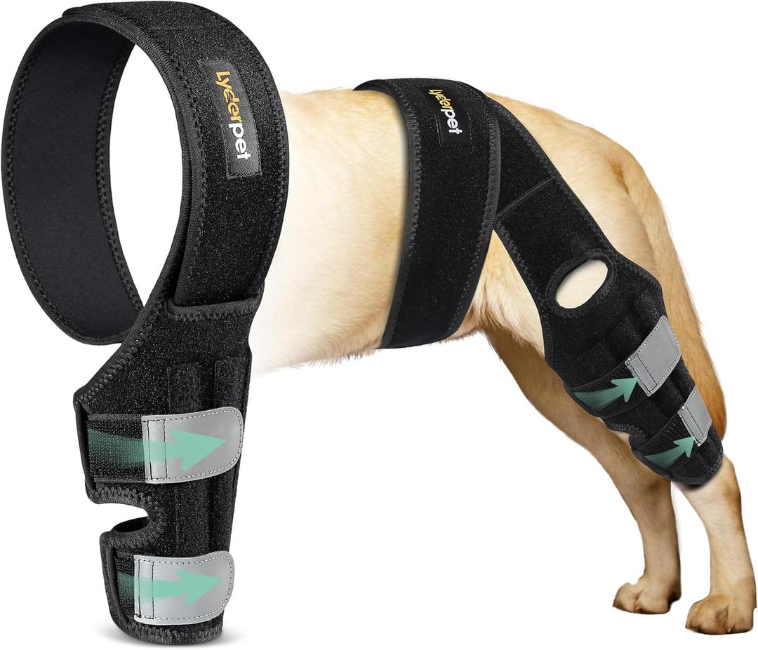 Dog Knee Brace for Torn ACL Hind Leg, Dog Braces for Back Leg for Dogs Luxating Patella, Metal Spring Strong Support and Flexible Joint Care, Stay-on Dog Leg Braces for Rear Leg (XXL)