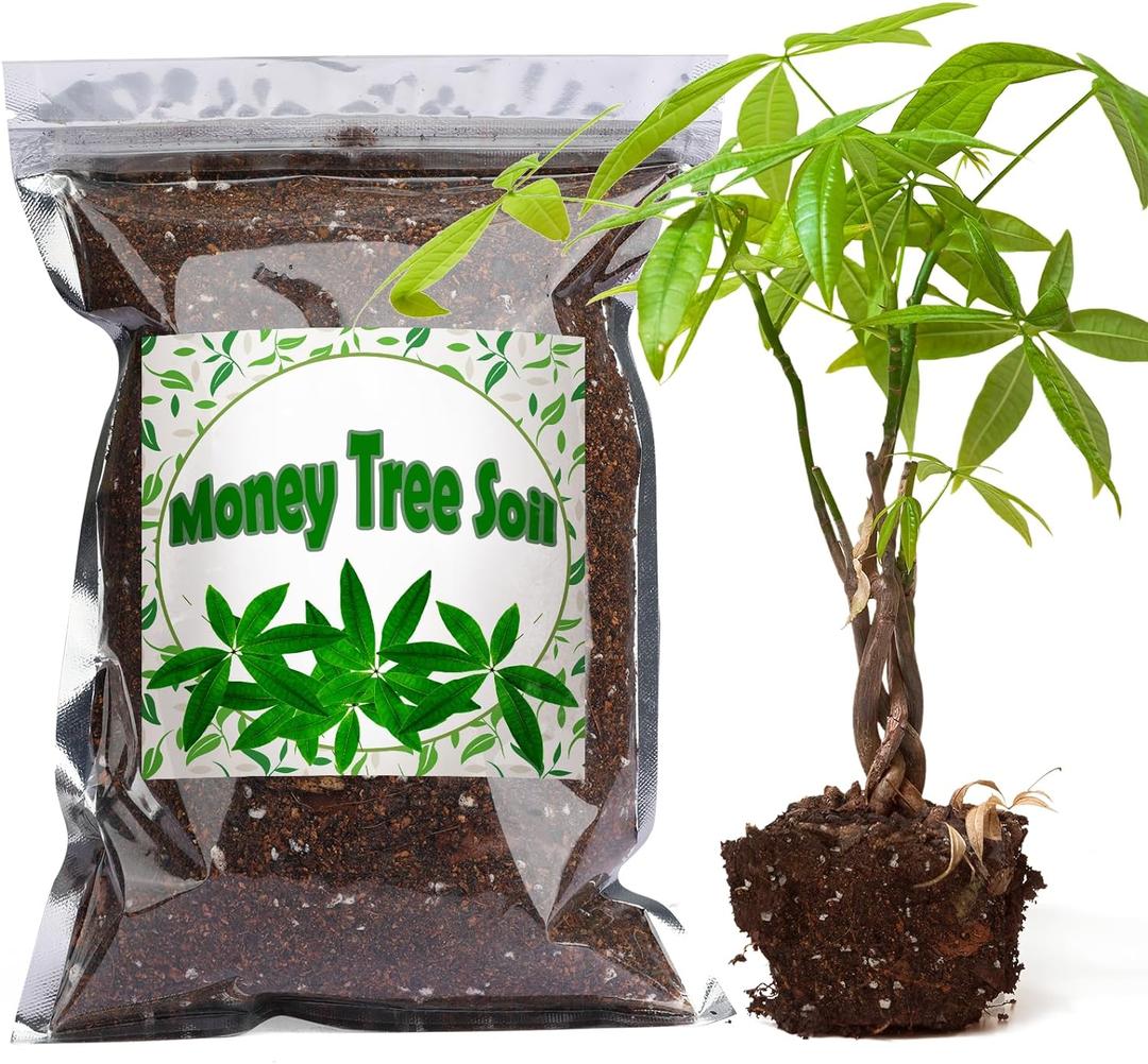 Doter Organic Money Tree Soil Mix 1qt, Indoor Plants Potting Mix for All Potted Money Tree, Grow Healthy houseplants Indoors