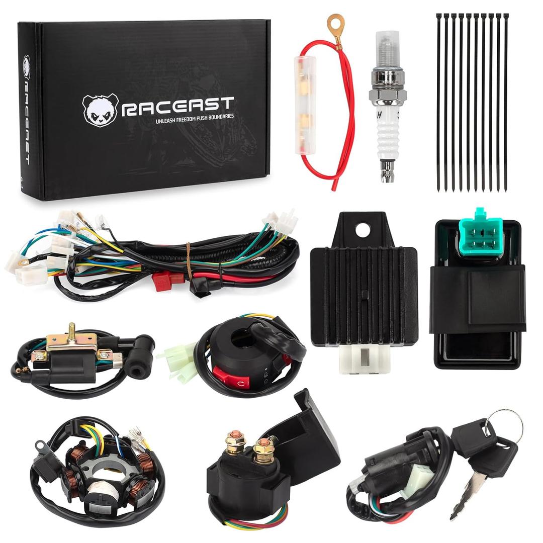 Complete Wiring Harness Kit for Tao tao 50cc 70cc 90cc 110cc 125cc ATV Quad Electric 4 Wheeler Stroke Parts Go Kart with 6-Pole Stator CDI Spark Plug Relay
