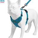 Best Pet Supplies Voyager Step-in Lock Pet Harness w Reflective Pet Leash Combo Set with Neoprene Handle 5ft - Supports Small, Medium and Large Breed Puppies/Cats - Turquoise Set, XS
