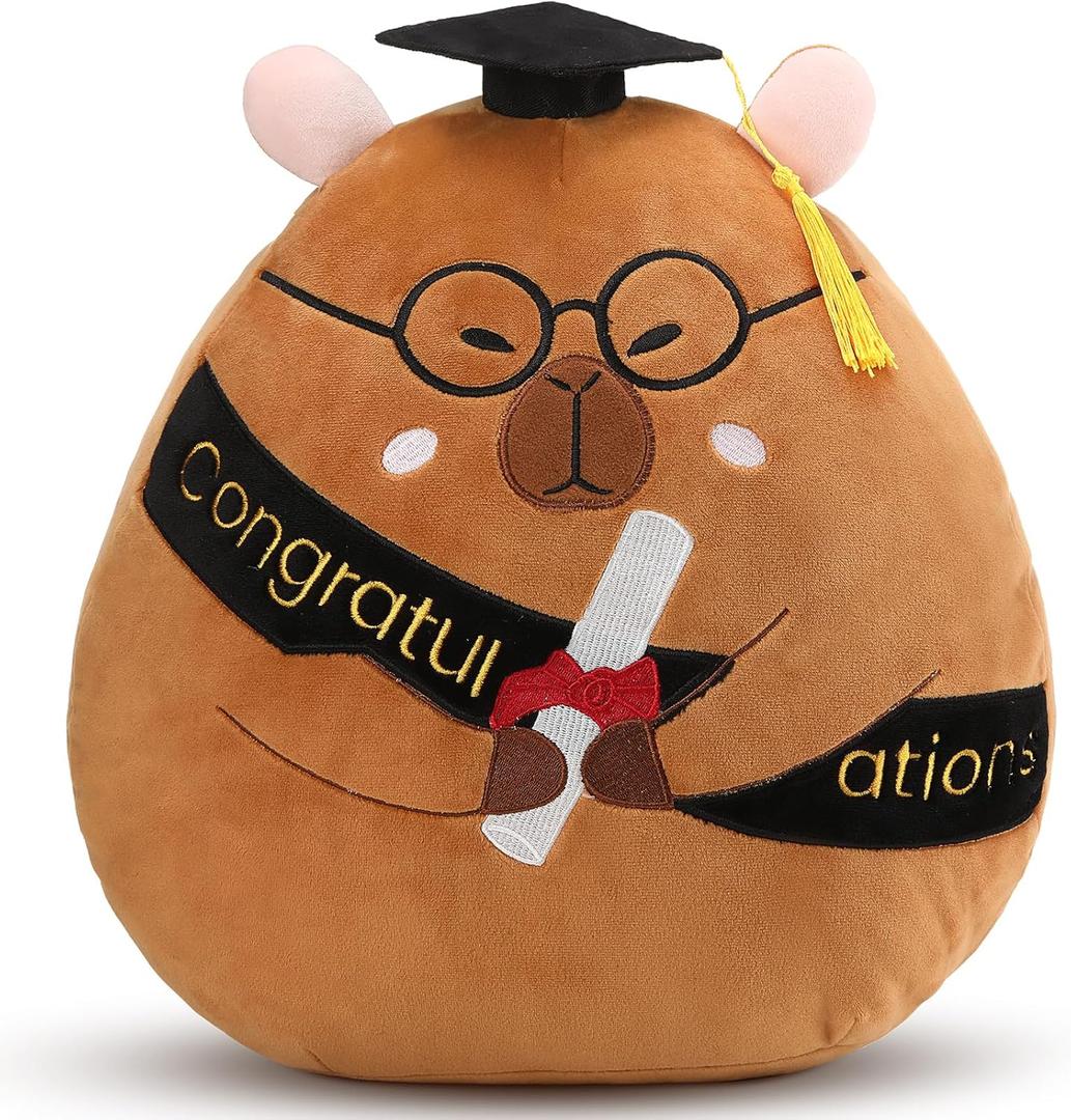 Chalyna 10 Inch 2026 Graduation Gift Capybara Stuffed Animal Plush with Diploma Tassel Graduation Hat Embroidered Blessings Preschool Kindergarten Gift for Student, Friends, Relatives and Kids