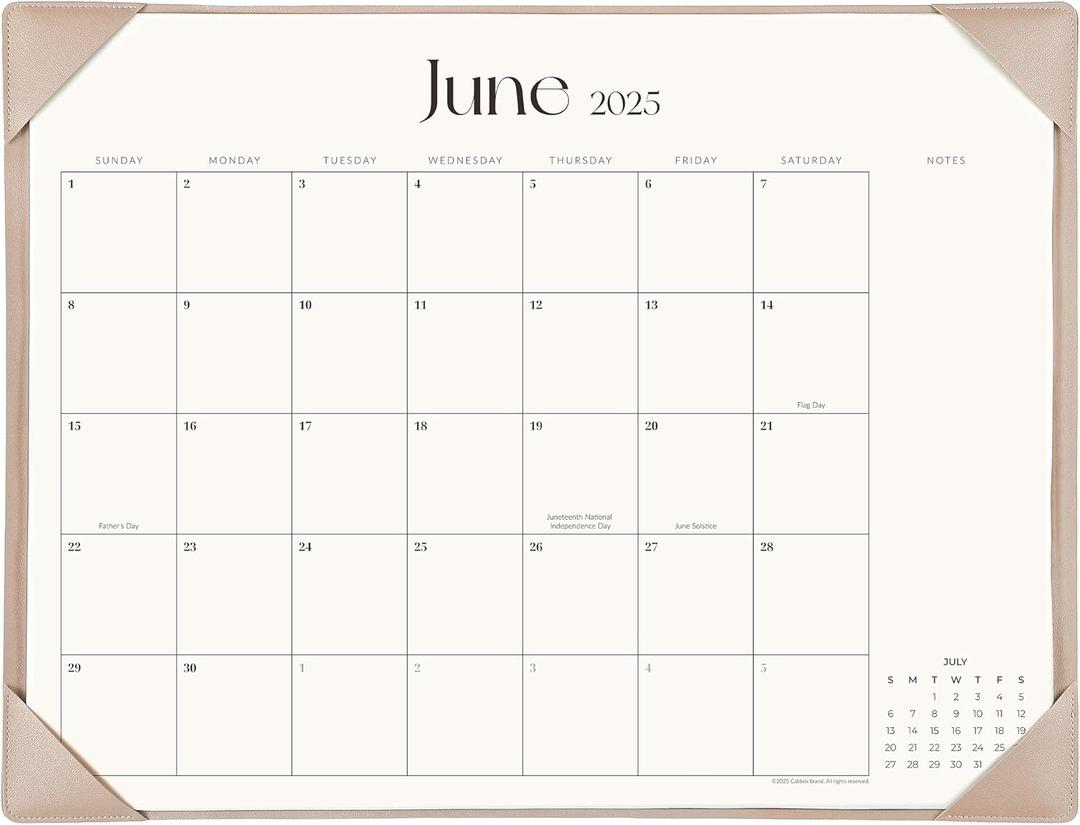 Simplified Desk Calendar 2025-2026 with Desktop Mat, Cabbrix Large Desk Pad Calendar 21" x 16-1/2" Inch Runs From January 2025 to June 2026, Desk Blotter Calendar for Home School and Office (Apricot)