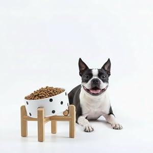 Petygooing Raised/ Elevated 15°Slanted Ceramic Dog Bowl for Small Breeds, Tilted Anti Slip Pet Bowl, Food Water Dish with Stand for Cats and Small Dogs Puppy 13.5 OZ (5.1In / 1.7 Cups) Black Dot