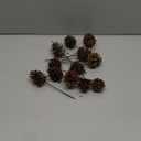 Whaline Christmas Natural Pine Cones 12 Pieces Pinecone Picks Christmas Tree Ornament Holiday Centerpiece for Xmas Tree Garland Wreath Home Party Decor Supplies, 1.8 Inch