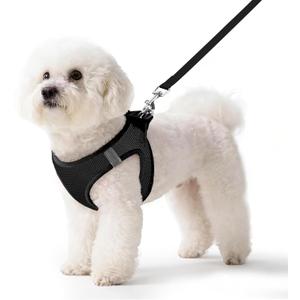 Pet Harness No Pull with Breathable Mesh, Comfort-Focused Dog and Cat Harness Featuring Hook & Loop Fastener, Snap Buckle and Double D-Rings, 0.55FIT, Black, Small