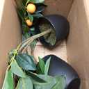 2Ft Artificial Orange Trees, 2 Packs Large Artificial Plants Indoor with Black Pots Faux Potted Citrus Trees Fake Floor Plants Lemon Decorations for Home Living Room Office, Bedroom Table, Desk