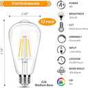 winsaLED 12 Pack Dimmable LED Edison Bulbs 40W Equivalent,4 Watt Filament Bulb,3000K Warm White ST19 Light Bulb,450LM E26 Vintage for Ceiling Fixtures