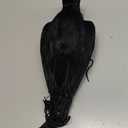 Noamus 17 Inches Realistic Hanging Dead Crow, Lifesize Extra Large Black Feathered Crow, Fake Decoy Raven for Garden Halloween Decorations Birds, Artificial Handmade, Model, Party Props