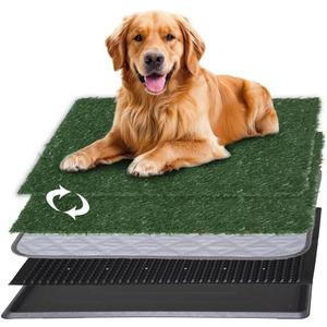 Reusable Pet Grass Potty w/ 2-Pack Replaceable Artificial Grass Quick Absorbent Indoor Portable Pet Training Patio Potty Washable Pee Pad Box Toliet (Medium-20x25In)