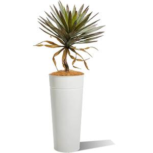 KOL 28" Tall White Metal Planter, Galvanized Steel Plant Pot with Artificial Yucca Tree & Natural Coconut Fiber for Indoor Outdoor Home Office Decor, Weather Resistance (Total Height 4.2FT)