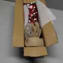 CRCZK 19" H Valentines Day Heart Table Tree Decorative Red Love Berries,20 LED Light UP Artificial Tree Decor for Valentines Day Party Home Decor,Valentine Classroom Decorations