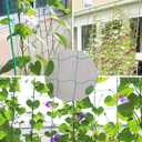 2 Pack Garden Trellis Netting - Heavy-Duty Plant Support, 6 Feet x 16.5 Feet, Flexible String Net for Climbing Plants