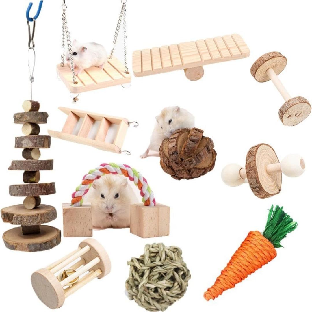 Hamster Chewing Toy Set Small Animal Teeth Cleaning Toy Tooth Care Wooden Accessories Rodent Toys (Eleven piece set)