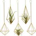 Geometric Hanging Tillandsia Holder Gold Metal Air Plant Holders for House Decor, Small Indoor Plants, Plant Lover Gifts (5Pcs)