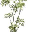 6ft Artificial Mahonia fortunei Tree Tall Fake Indoor Plant with White Plastic Planter, Large Faux Tree for Home Office Living Room Decor, Perfect Housewarming Gift