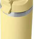 YETI Rambler 18 oz Bottle, Vacuum Insulated, Stainless Steel with Color Matching Straw Cap, Daybreak Yellow
