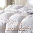 Feather Down Fiber Comforter Queen Size,Hotel Style Bedding Comforter,750+ Fill Power,1200TC,100% Organic Cotton Fabric,All Season Grey Duvet Insert with 8 Corner Tabs