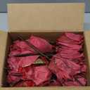 Alupssuc 16 PCS Poinsettia Christmas Flowers Artificial, Glitter Magnolia Poinsettia Flowers Artificial, Sparkling Christmas Decorations for Xmas Tree Party Wreath Fireplace, Burgundy