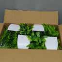 Unittype 12 Pcs Fake Plants Small Artificial Faux Plants for Shelf Mini Plastic Potted Greenery for Home Office Desk Bathroom Bedroom Indoor Decor(Green)