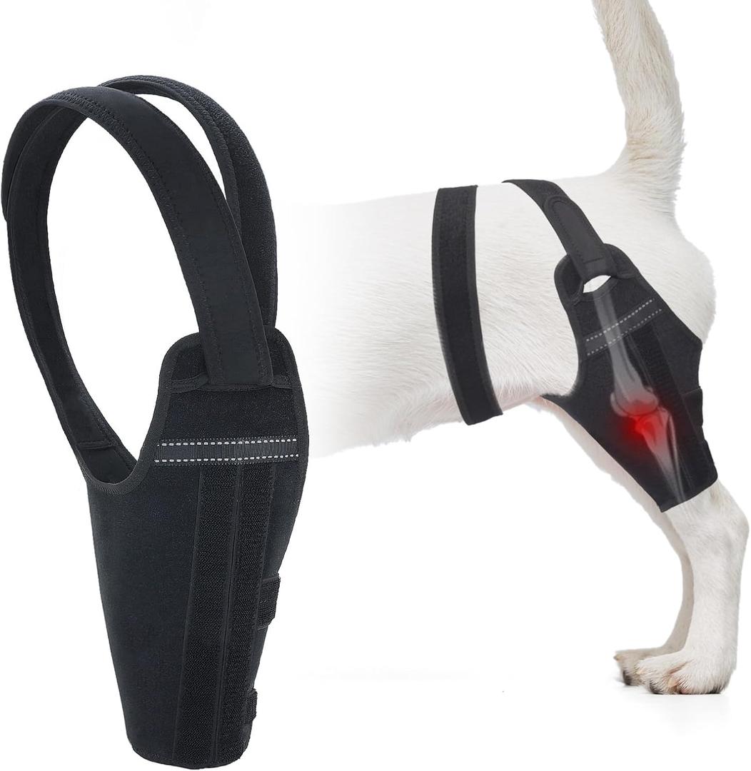 Dog Knee Brace for Back Legs Fit Large to Small Dogs Strong Support Adjustable Dog Leg Braces with 2 Metal Strips for Hip Dysplasia, ACL, CCL, Ligament Injuries & Osteoarthritis (Left Leg, M)