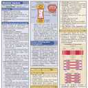 Physiology QuickStudy Laminated Reference Guide (QuickStudy Academic)