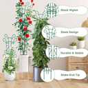 6 Pack Indoor Plant Trellis for Potted Plants, Stackable Garden Trellis for Climbing Plants Outdoor, Small Trellis for Houseplants Rose Hoya Pothos Plant Climber Support