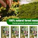 ZeeDix 3.3 lbs Forest Moss for Plants Indoor - Dried Orchid Moss for Repotting, Natural Green Sphagnum for Potted Plants Carnivorous Monstera Succulents Crafts Reptile Habitat (Expands to 60 qt)