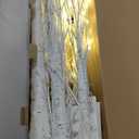 3 Pack 4FT 5FT and 6FT 300LED Christmas Lighted Birch Tree, Timer Function Prelit Artificial Tree Lamp Plug in with Warm White Lights, Twinkling Twig Trees for Indoor Outdoor Christmas Decorations