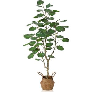Kazeila Artificial Aralia Balfour Tree,Fake Greenery Plant,Come with Woven Seagrass Belly Basket,Indoor Modern Decoration,4 Feet