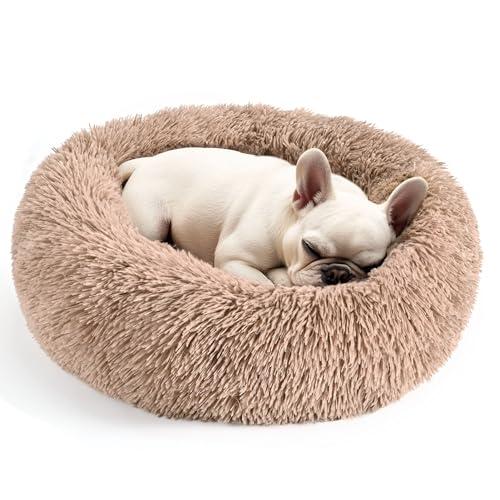 Hoewina Dog & Cat Bed for Indoor Cats, 20in Calming Donut Bed for Puppy and Kitten, Washable Round Fluffy Pet Bed for Small Medium Dogs and Cats (Camel)
