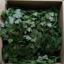 DearHouse Artificial Ivy Privacy Fence, 157.5x39in Artificial Hedges Fence and Faux Ivy Vine Leaf Decoration for Outdoor Decor, Garden Decor