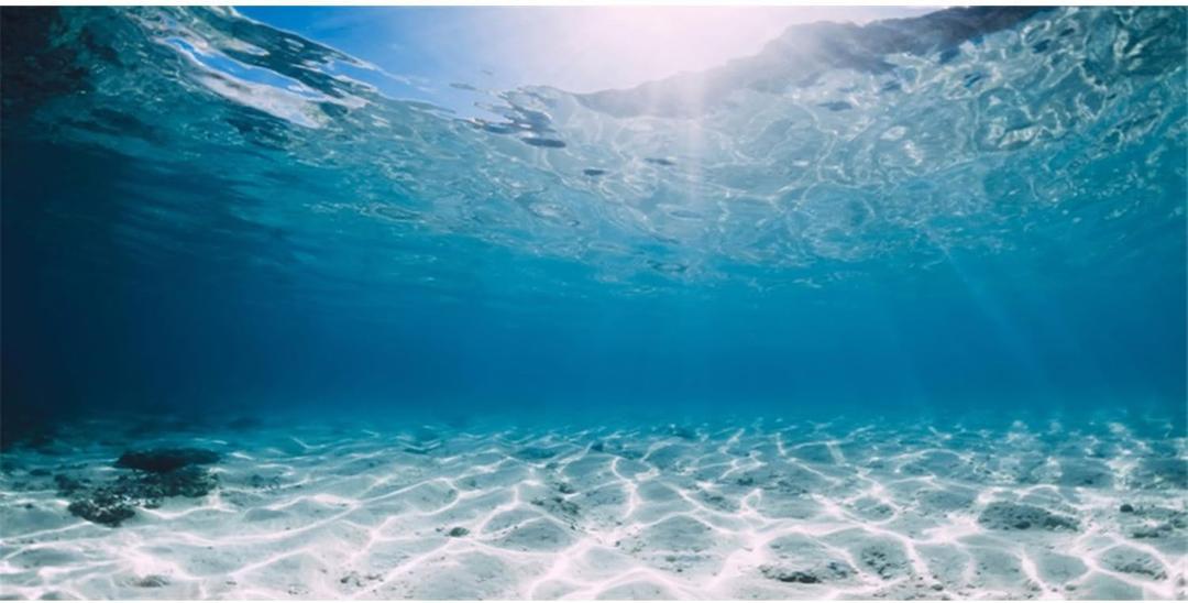 AWERT 48x18 inches Polyester Ocean Floor Background Undersea Ocean Floor Aquarium Background Tropical Tank Background