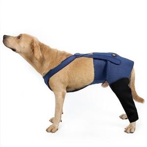 Coodeo Dog Recovery Suit, Cone Alternative - Abrasion Resistant, Waterproof & Washable 2.5mm Thick Sleeves to Prevent Licking, Biting Wounds (Blue, L)