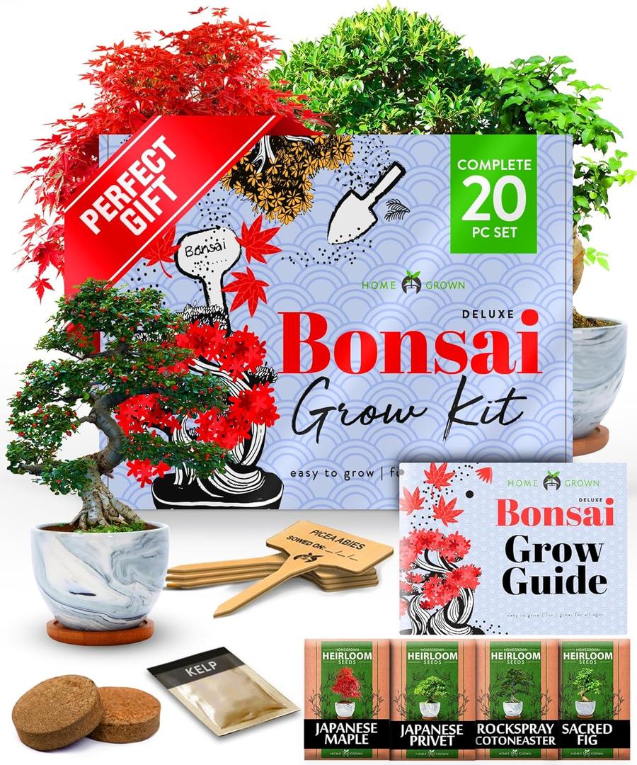 HOME GROWN Bonsai Tree Kit  Premium Ceramic Starter Set with 4 Bonsai Varieties  Easy Indoor Gardening Gift for Men & Women  Unique Plant Kit for Beginners & Nature Lovers