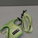 Dog Harness and Leash Set, Adjustable Dog Harness, Dog Leash, No Pull No Choke Puppy Harnesses for Walking Training for Small Medium Pet (XS(Chest 9.9 - 13.5", Neck 7.8 - 10.2"), Avocado)