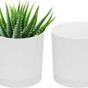 PATIKIL 5 Inch/12.5cm Plastic Plant Pots, 2 Pack Small Flower Pot Planters with Drainage Holes and Saucer for Home Decor Indoor Plants, White