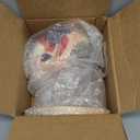 Human Brain Model for Neuroscience, Brain Model Labeled with Study Guide, Anatomy Model for Science Education Study Display