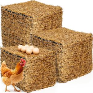 60 Pcs Chicken Nesting Pads for Chicken Coop 12'' x 12'' Laying Hen Nesting Pads Box Liners Washable Chick Bedding Reusable Fake Turf Mats for Farm Hen Nest Box Liners Accessories