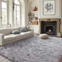 FinRec Soft Grey Rugs for Bedroom Living Room, 4x6 Feet Fuzzy Shaggy Area Rug, Non-Slip Fluffy Furry Shag Rug for Nursery Kids Room Dorm Room Home Decor, Indoor Plush Floor Carpet