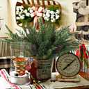 50PCS Christmas Norfolk Pine Branches, 6 Styles Artificial Christmas Norfolk Branches Artificial Greenery Real Touch Pine Needle Branches Stems Sprigs for Xmas DIY Making Garland Wreath Home Decor