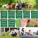 Pet Knitted Clothes,Button Button Half Chest V-Neck Pet Clothing,Pet Sweaters for Dogs Boys or Girls,Dog Clothing,Pullover Dog Sweater,Suitable for Most Sizes or Breeds of Dogs(Green,XL)